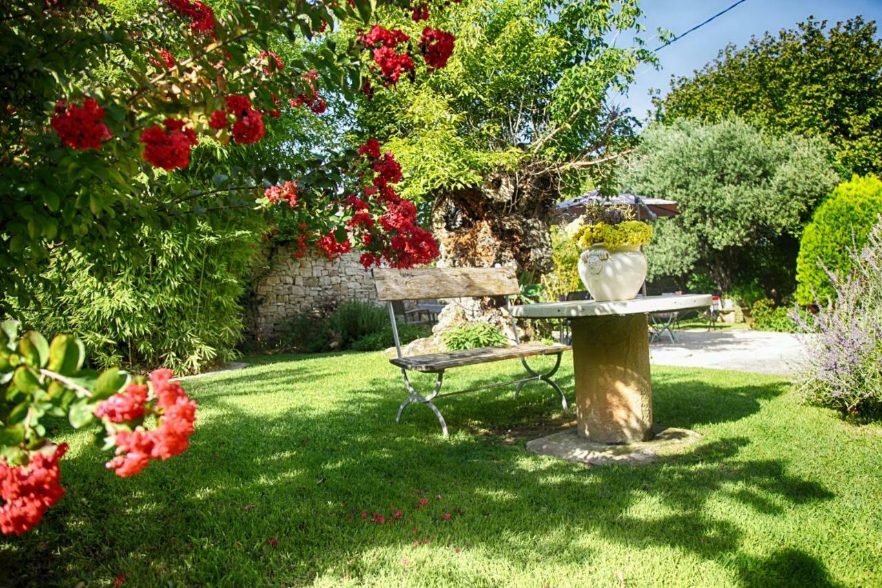 Gite L'Olivier Carpentras Exterior foto